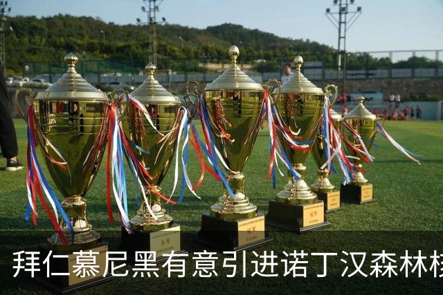 拜仁慕尼黑有意引进诺丁汉森林核心球员